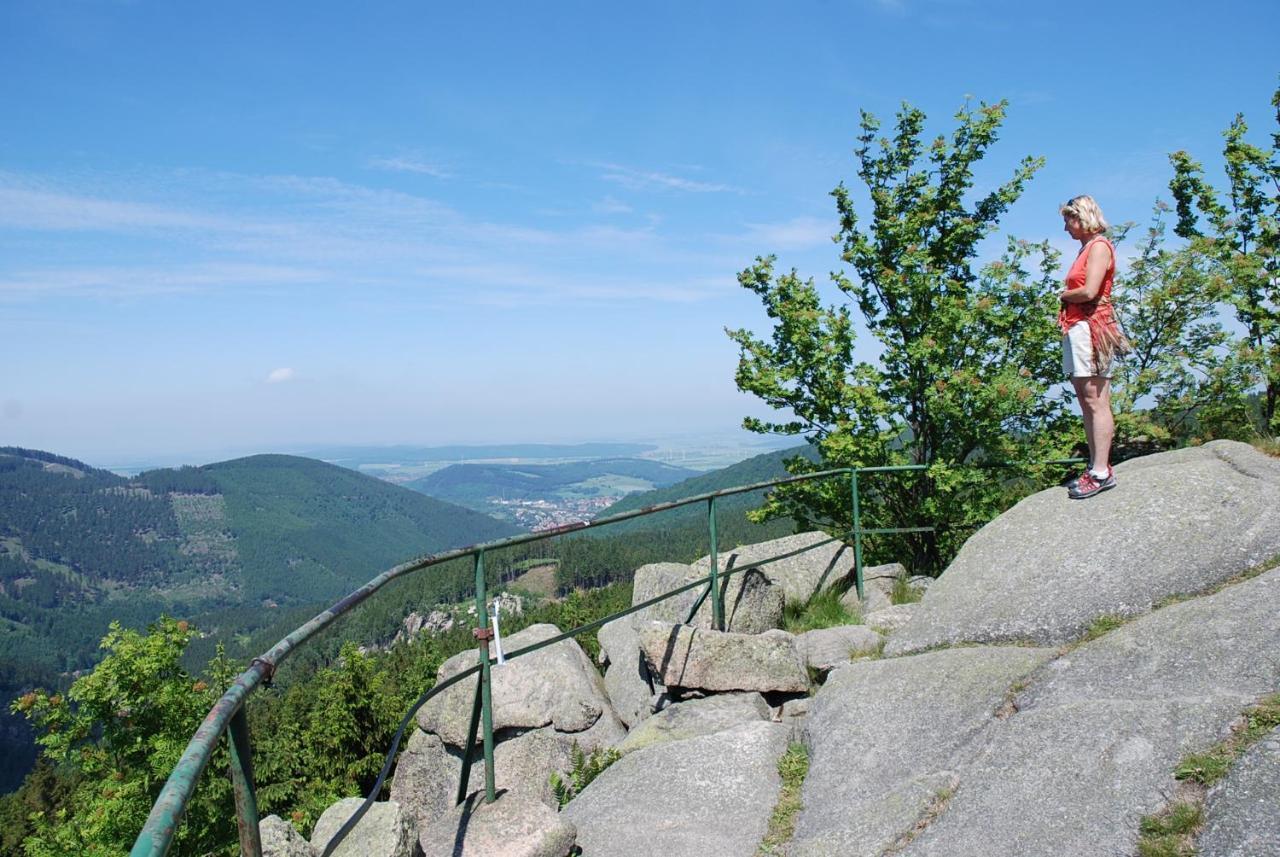 Ferienwohnung-Bergblick Bad Harzburg Esterno foto