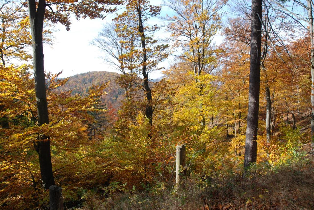 Ferienwohnung-Bergblick Bad Harzburg Esterno foto