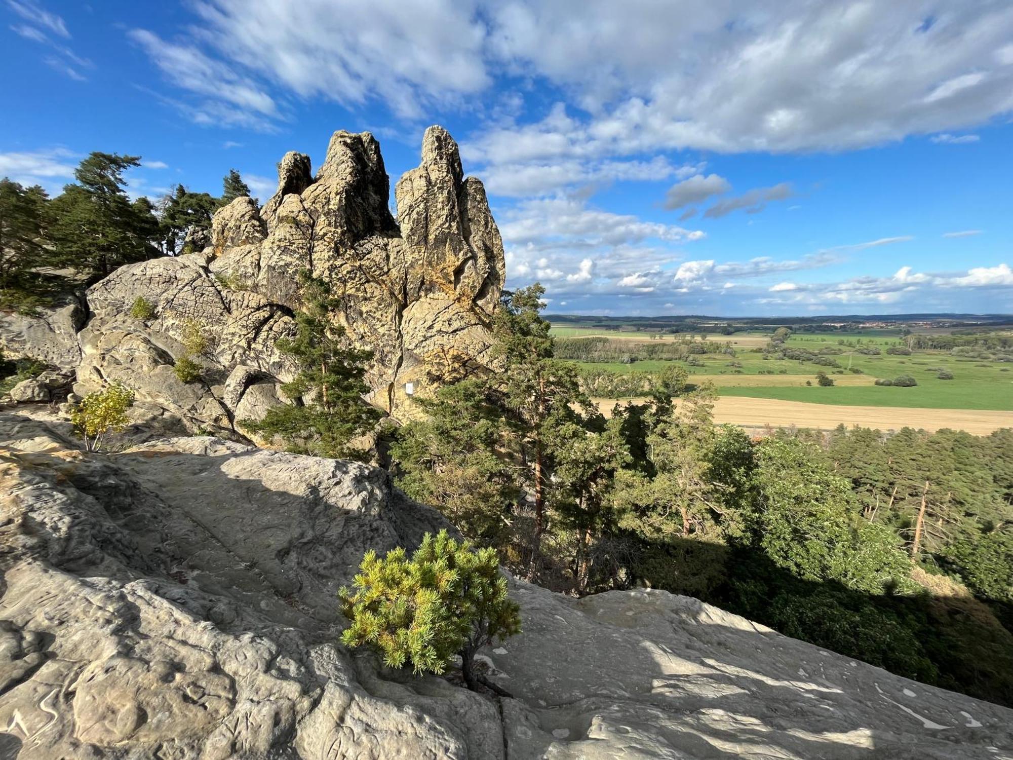Ferienwohnung-Bergblick Bad Harzburg Esterno foto